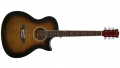 Caraya F-531 SB Акустическая гитара
